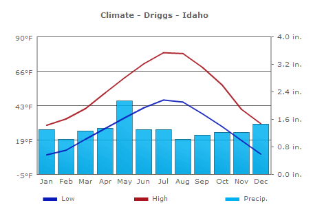 Climate Driggs